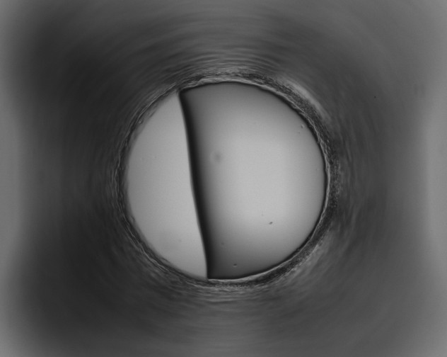 X0000097480777200802220820