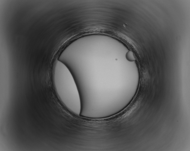 X0000097480778200802220820