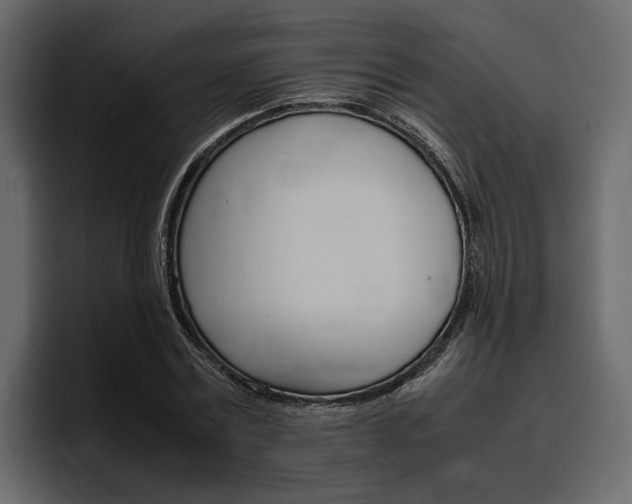 X0000097480779200802220820