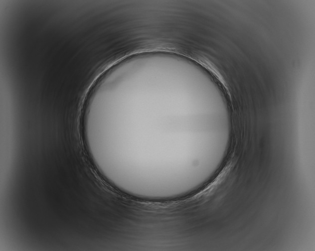 X0000097480781200802220820