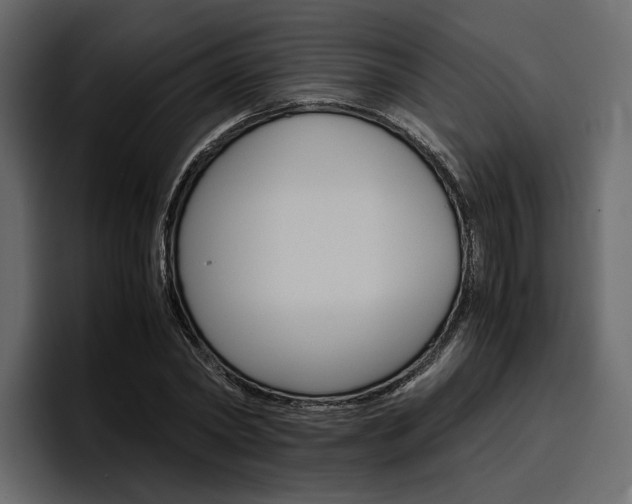 X0000097480782200802220820