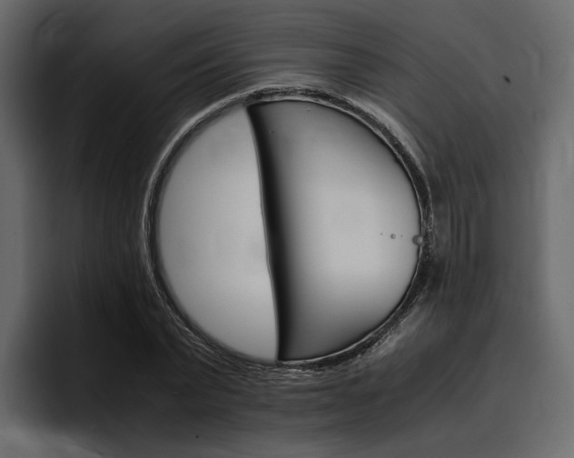 X0000097480783200802220820