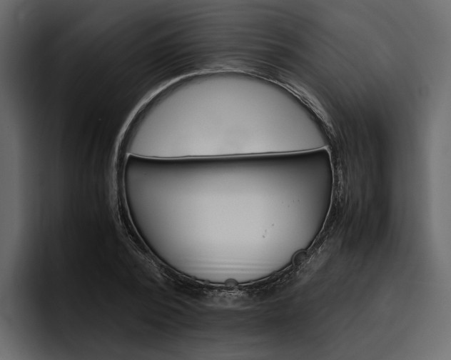 X0000097480784200802220820