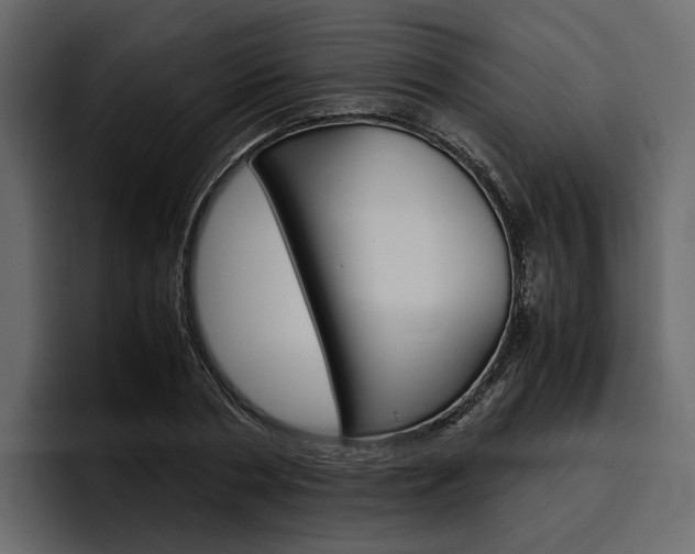X0000097480786200802220820