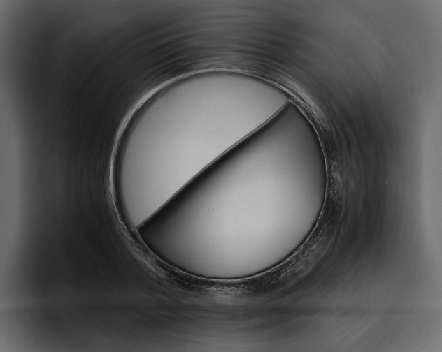 X0000097480788200802220820