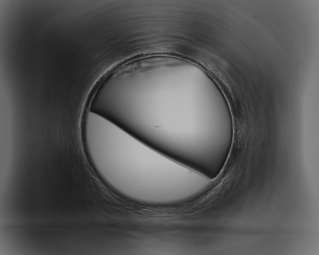 X0000097480789200802220819