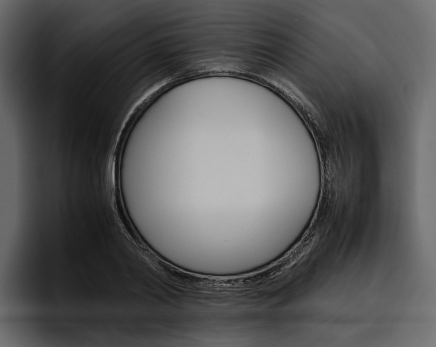 X0000097480790200802220819