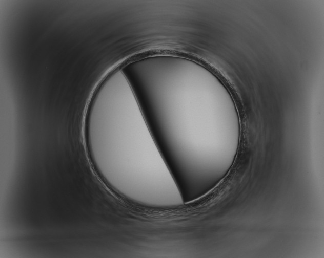 X0000097480791200802220819