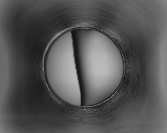 X0000097480792200802220819