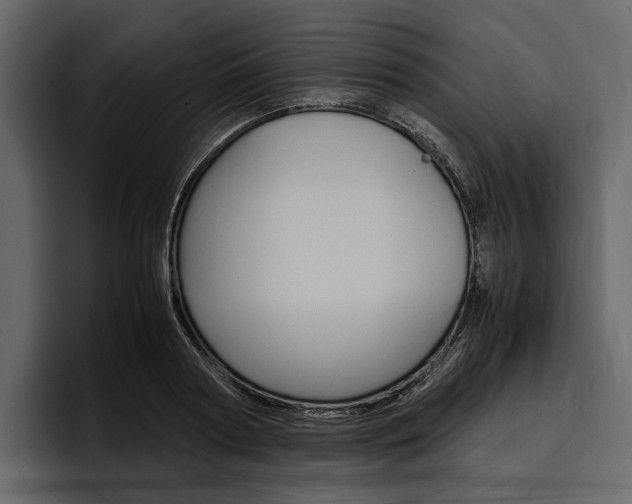 X0000097480794200802220819