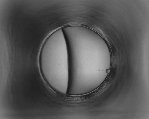 X0000097480795200802220819
