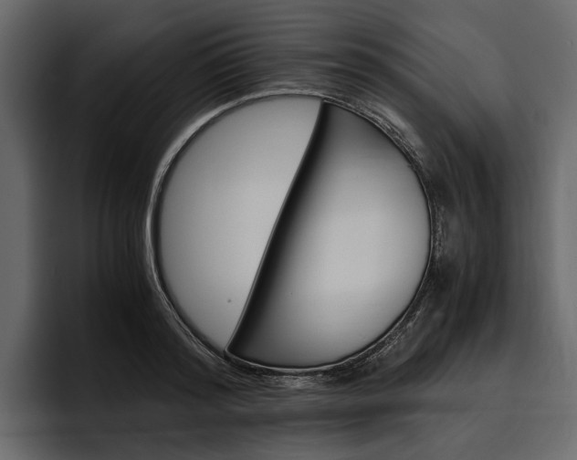 X0000097480796200802220819
