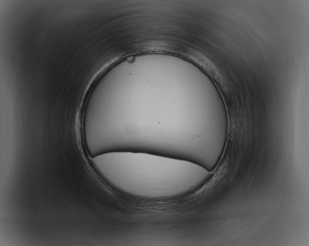 X0000097480798200802220819