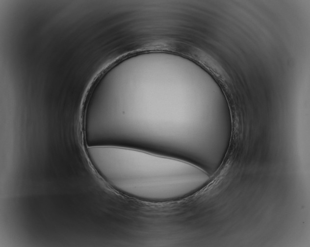 X0000097480800200802220819