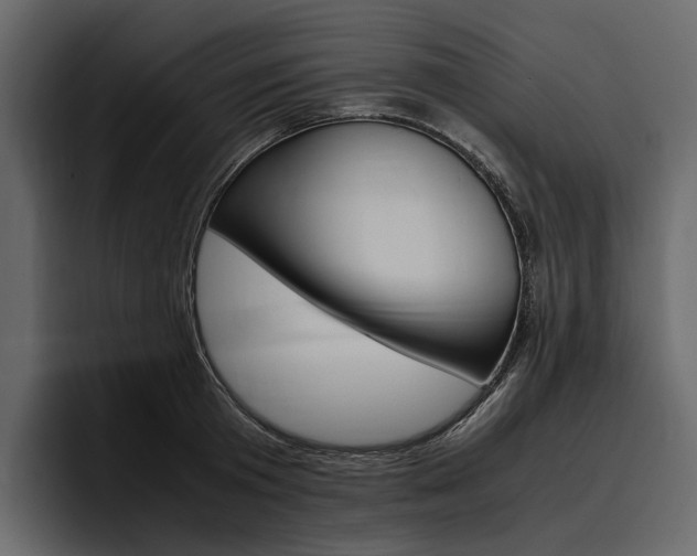 X0000097480801200802220819