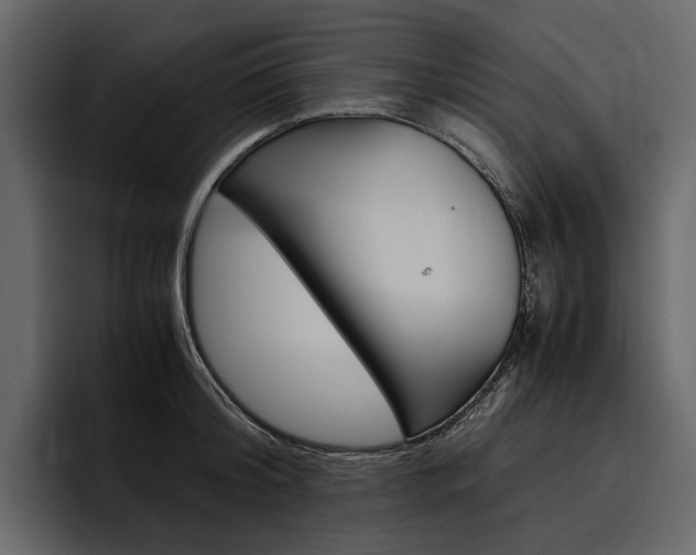 X0000097480804200802220819