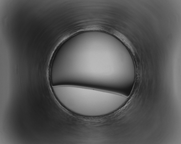 X0000097480805200802220819