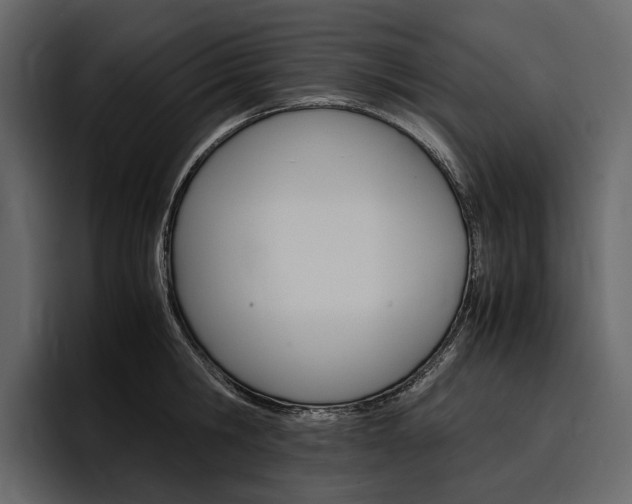 X0000097480806200802220819