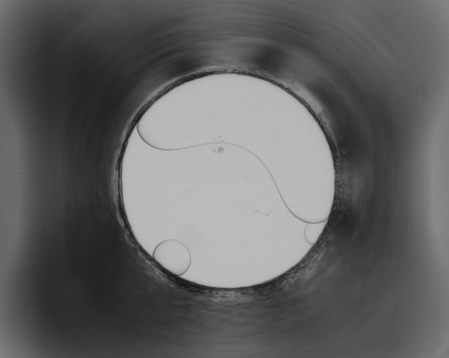X0000097480807200802220819