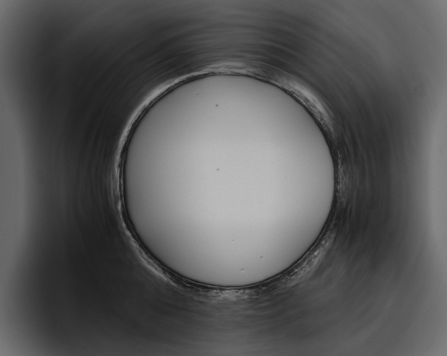 X0000097480808200802220819