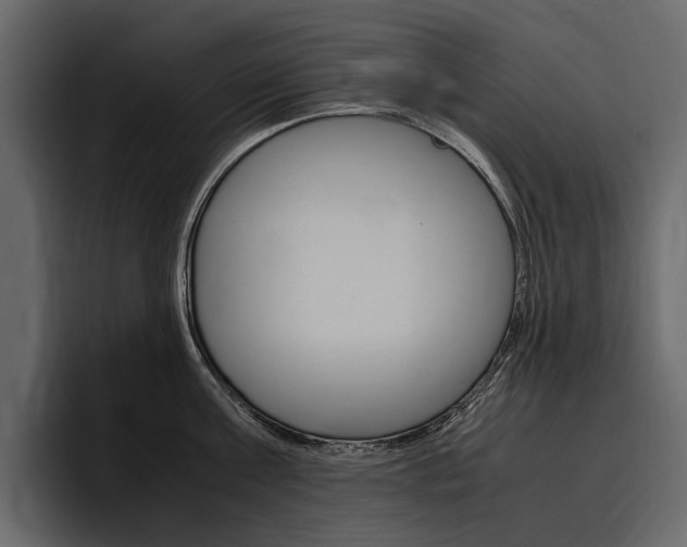 X0000097480811200802220819