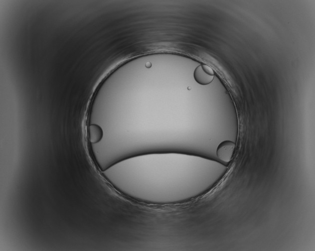 X0000097480814200802220819