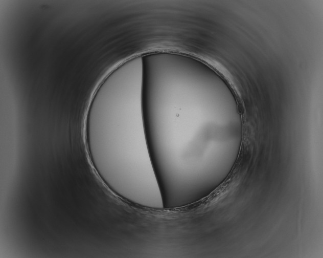 X0000097480815200802220819