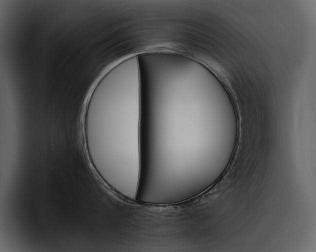 X0000097480816200802220819