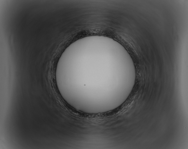 X0000097480817200802220819