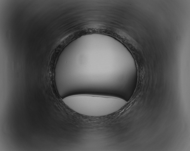 X0000097480822200802220819