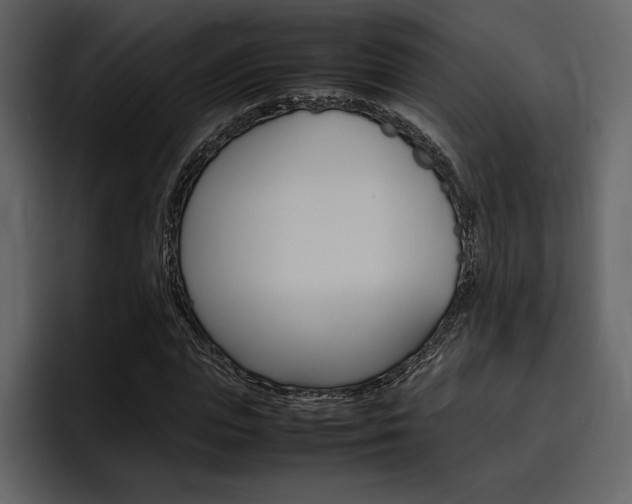 X0000097480823200802220819