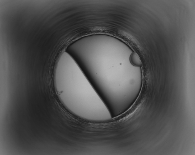 X0000097480825200802220819