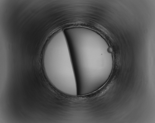 X0000097480826200802220819