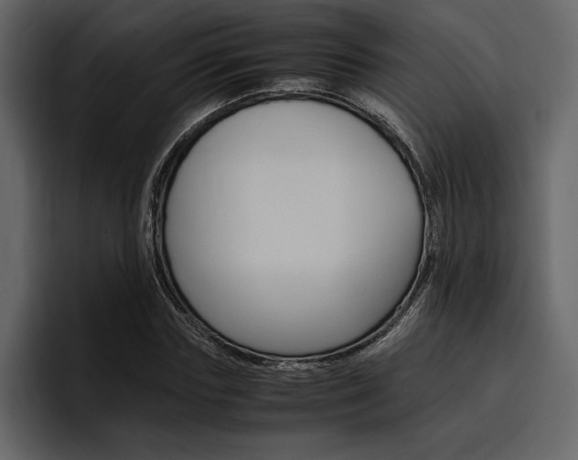 X0000097480827200802220819