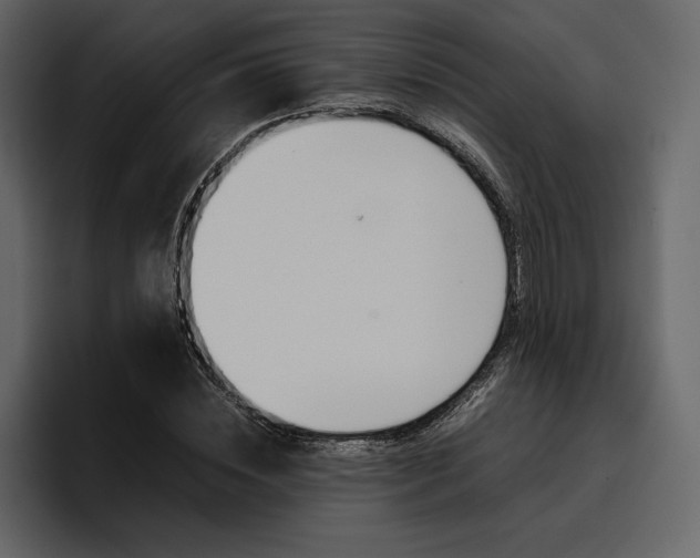 X0000097480828200802220819