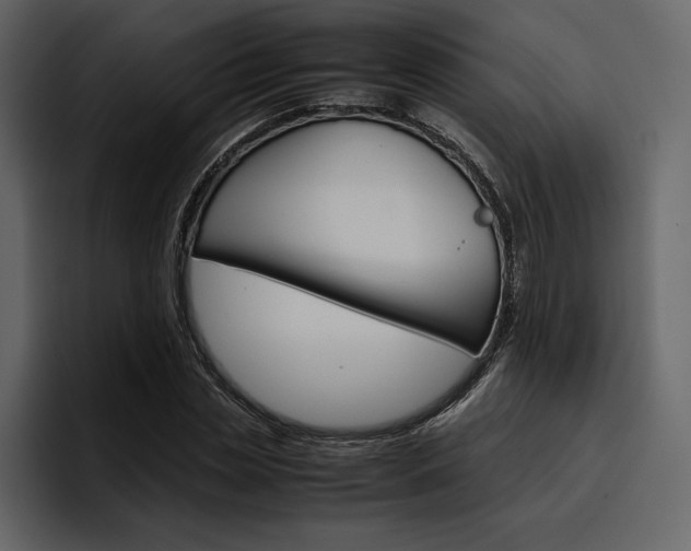 X0000097480829200802220819