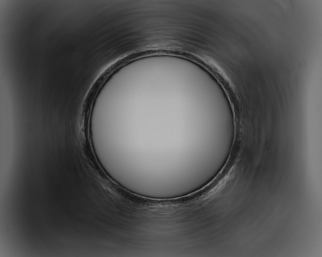 X0000097480830200802220819