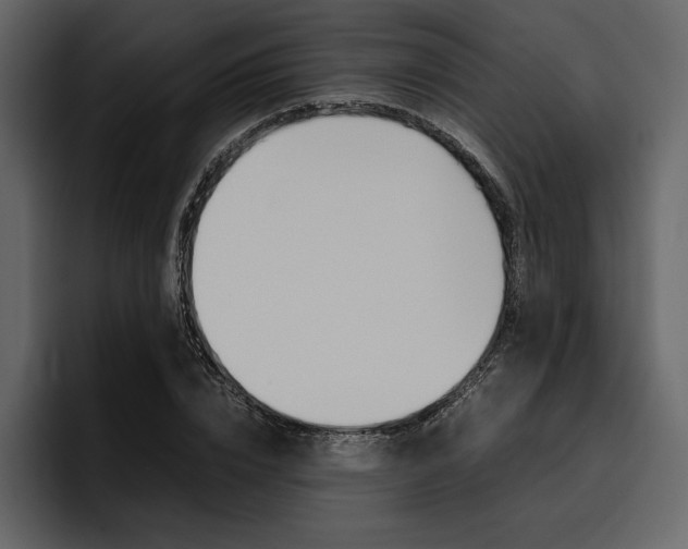X0000097480832200802220819