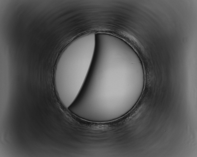 X0000097480833200802220819