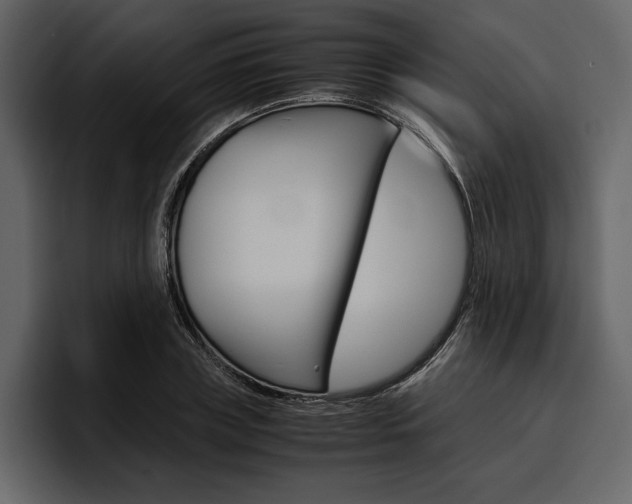 X0000097480835200802220819