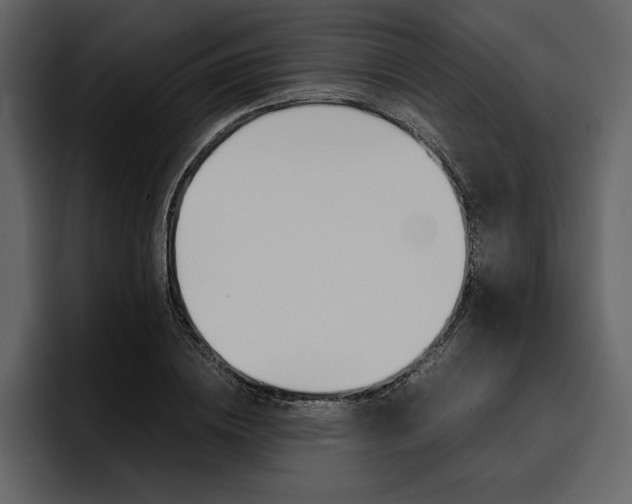 X0000097480836200802220819