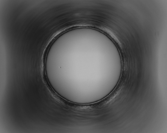 X0000097480837200802220819
