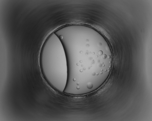 X0000097480839200802220819