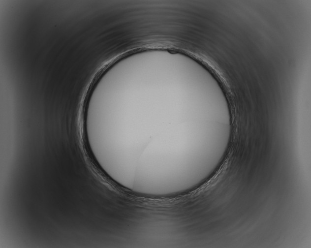 X0000097480840200802220819
