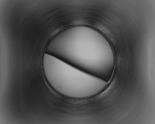 X0000097480841200802220819