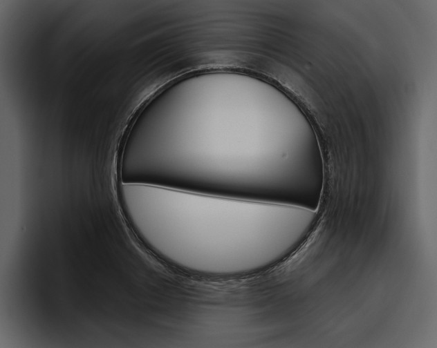 X0000097480842200802220819