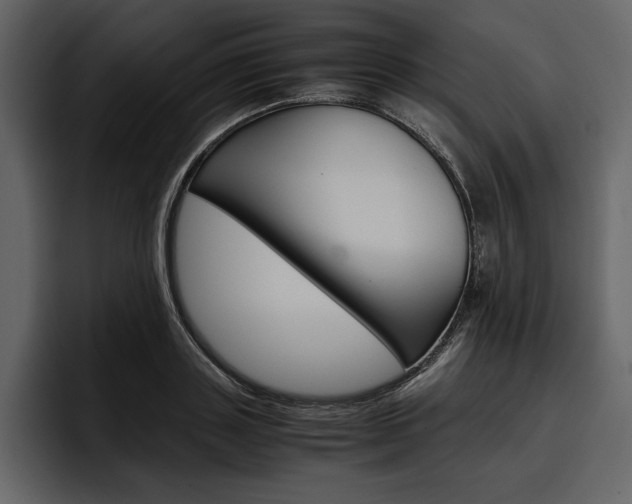 X0000097480843200802220819
