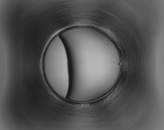 X0000097480846200802220819