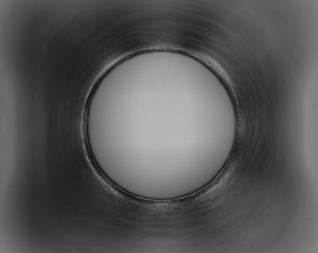X0000097480847200802220819