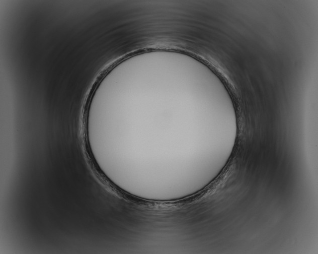 X0000097480848200802220819